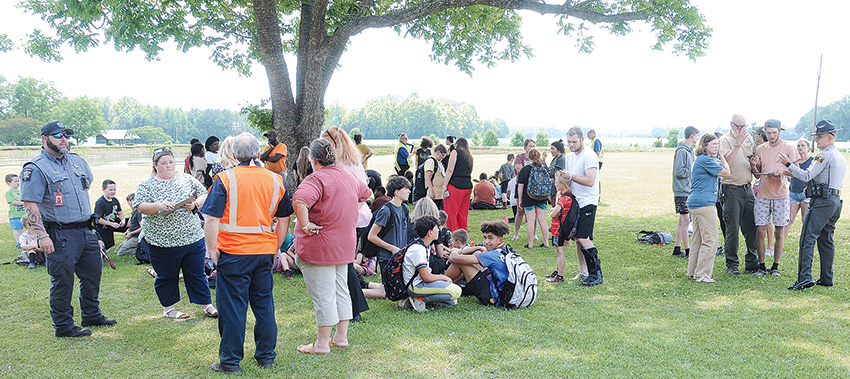 Shade Tree For Wreck Crowd
